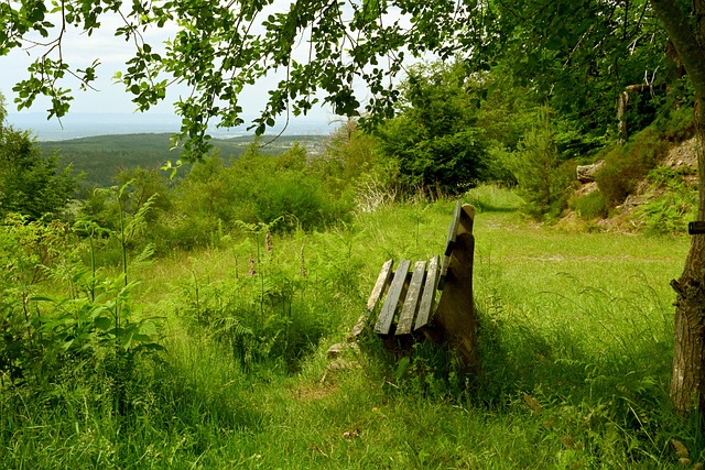 赢得了一个 赢得了一个