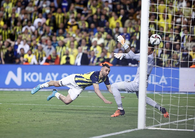 长的机会 长的机会