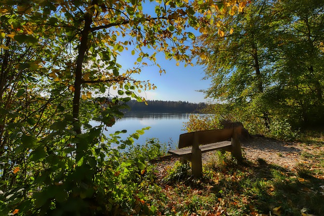 亚在整体实 亚在整体实