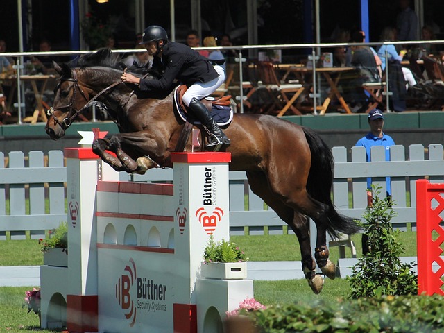 次對陣巴黎 次對陣巴黎